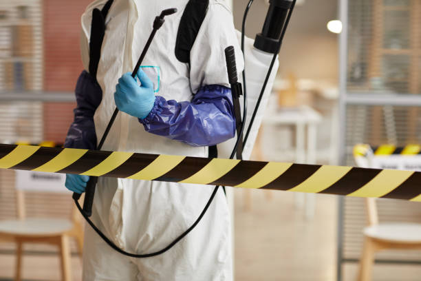 Professional Sewage Cleanup technician working in Webster, IN